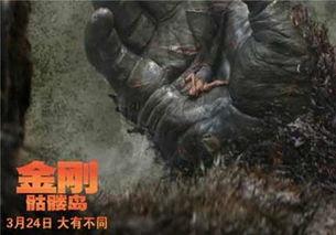 金刚骷髅岛在线观看完整版,惊险探险，探寻神秘岛屿的奇幻之旅